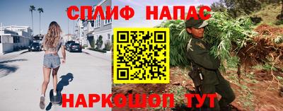 гидра Бузулук