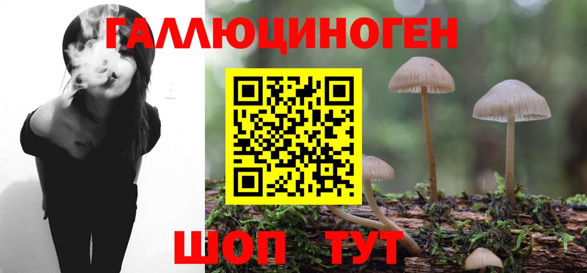 Псилоцибиновые грибы Psilocybine cubensis  Вход с VPN  продажа наркотиков  Биробиджан 